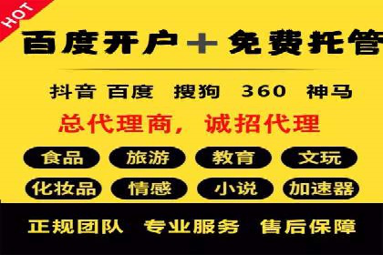 百度竞价代理操作手册：成功案例分析